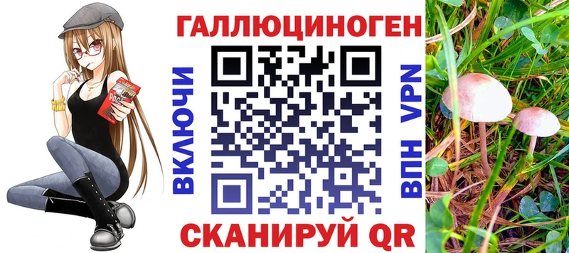 Псилоцибиновые грибы MAGIC MUSHROOMS  Купить закладки  Королёв